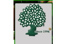 Photo of The Olive Tree Restaurant Photo of The Olive Tree Restaurant